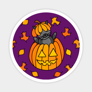 Cartoon Halloween Cat in Jack o Lantern Pumpkin with Fall Leaves on a Purple Backdrop, made by EndlessEmporium Magnet